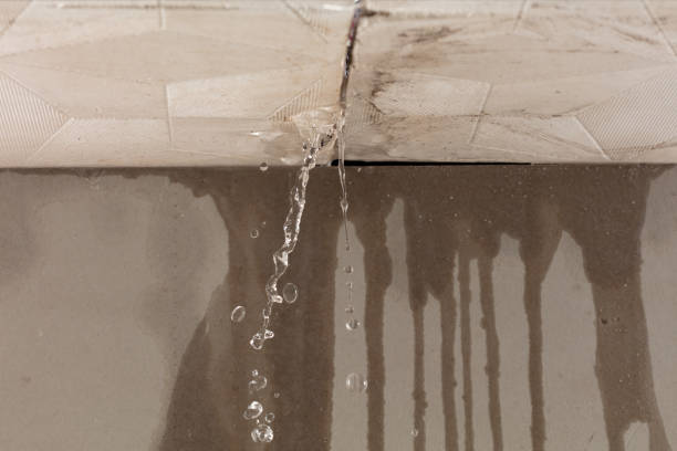 Professional Water Damage Inspection technician working in Venus, TX